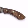Etched Custom Hunting Knife w/Curly Walnut Handle